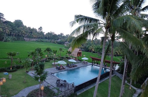 Nyuh Kuning House | Artini Resort - Super Deluxe Room