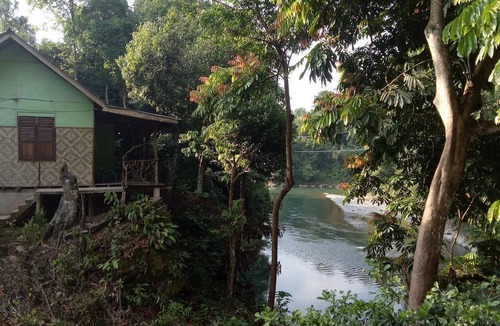 Batang Serangan Bed & Breakfast | Green Lodge Tangkahan