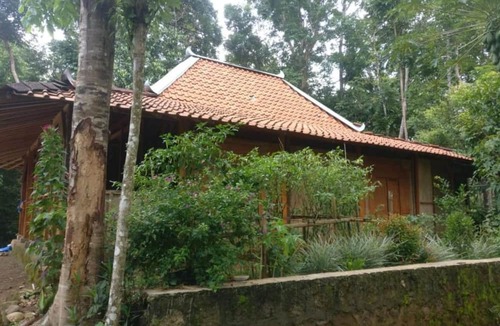 Muntuk Hostel | Homestay An-Nur - Hostel