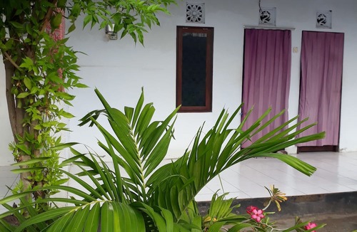 Pejarakan House | Menjangan Hostel