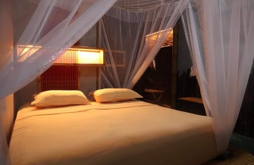 Bukit Lawang Hotel | Ecolodge Bukit Lawang