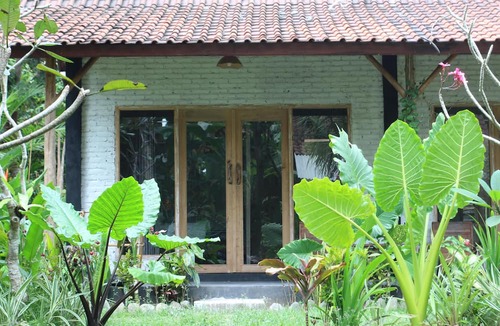 Medewi House | Jungle House - surf & stay