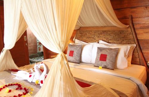 Tegallalang Hotel | Belvilla Moksha Ceking Rice TerraceNearUbud Jungle Swing