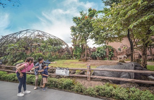 Cisarua Resort | Royal Safari Garden Resort & Convention