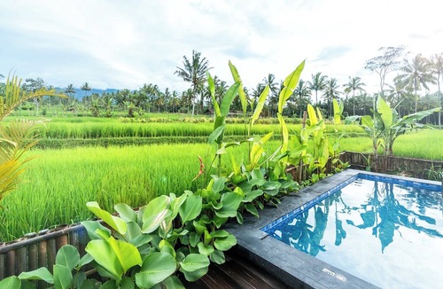 Cangkringan Villa | Nira Meraki By Semesta Management