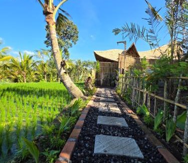 Selat Villa | Golden paddy bamboo house -by sunrise hill