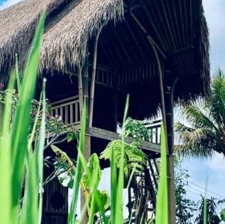 Susut Villa | Aska Bamboo House