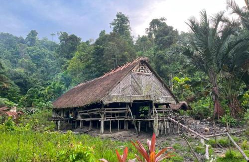 Mentawai Islands House | Mentawai Tribe Experience Traditional Uma Stay
