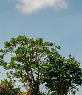 Kutuh Resort | Bumi Ola Villa Pandawa