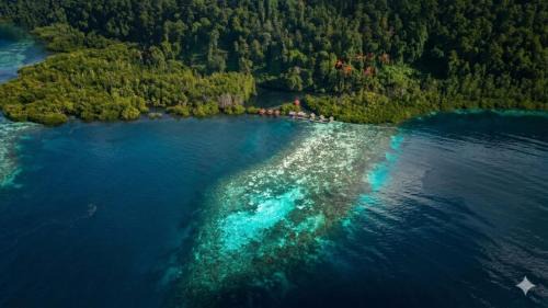 Raja Ampat House | Mangrove Reef Guest House