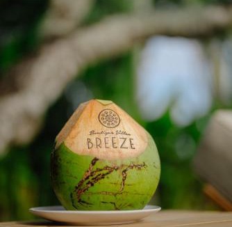 East Selemadeg Villa | Villas Breeze A boutique hotel experience!