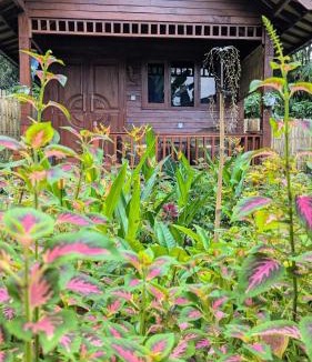 Tetebatu House | Gecko Lodge