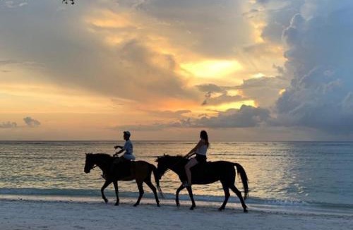 Gili Air Villa | Tampo Villa