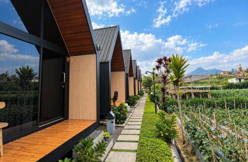 Banaran Hotel | Andong Valley