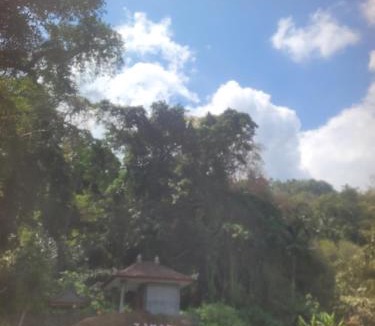 Banjartegehe Cabin | Sriwedari Lodge