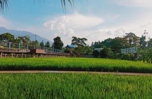 Cisarua Hotel | Aries Biru Hotel & Villa