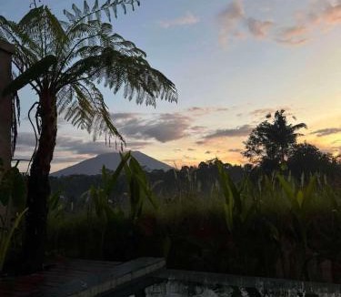 Tembuku Villa | One bedroom villa with private pool