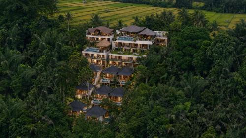 Taro Resort | The Compass Rose Valley