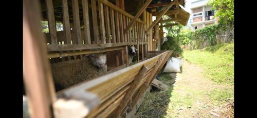 Sidomulyo Villa | Vanili Homestay