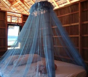 Arborek House | Freedom Homestay - Raja Ampat