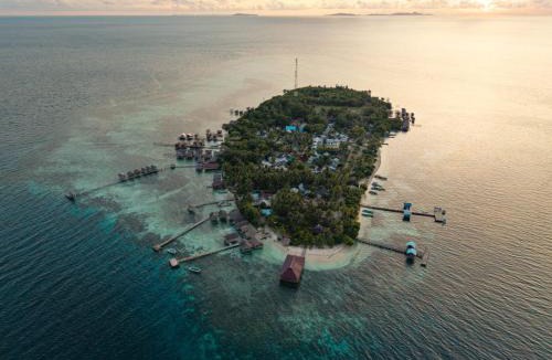 Arborek House | Angelfish Guest House Raja Ampat