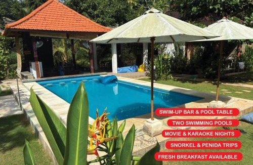 Mushroom Bay Hostel | Castaway Island Hostel