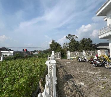 Bukittinggi House | Homestay 25 Syariah Bukittinggi
