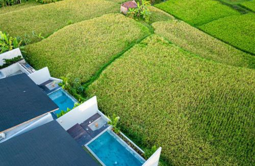Pejeng Apartment | Villa Alkada