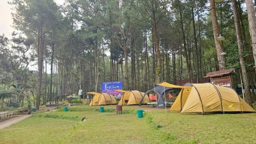 Kajarharjo Other | Kalisawah - Nyaman Camp