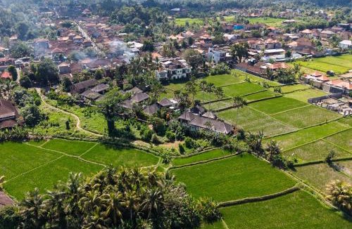 Kedewatan Villa | Dusun Villas Complex Ubud