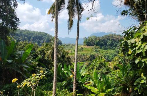 Ababi House | Pondok Alam Bukit