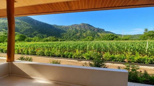 Sumbawa Barat House | Homestay Sadikin Scar Reef Beach Jelenga