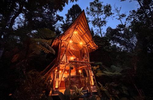Susut Cabin | Alasari Hidden Bamboo Retreat in the Jungle