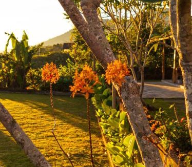 Wanagiri Villa | Wanagiri Sunrise Village