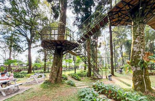Hargomulyo House | Tenggir Park Cottage and Glamping Tawangmangu