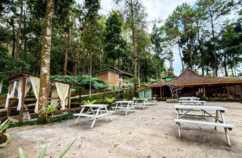 Hargomulyo House | Tenggir Park Cottage and Glamping Tawangmangu