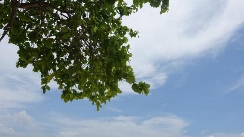 Raja Ampat House | Novella Homestay