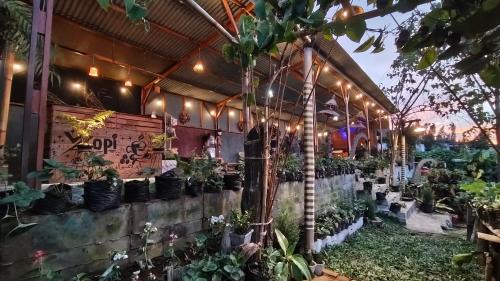 Tosari House | VANY Glamping