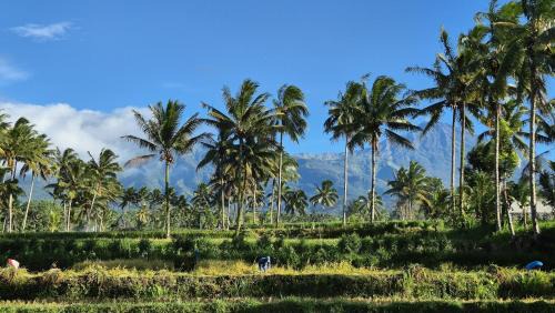 Tetebatu House | Greenfield-Lombok