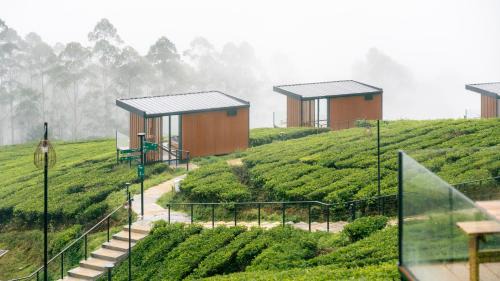 Rancabali Resort | Bobocabin Signature Kawah Ciwidey, Bandung