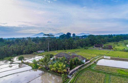 Melayang Villa | Sunset Rice Field View 2BR Villa Ubud