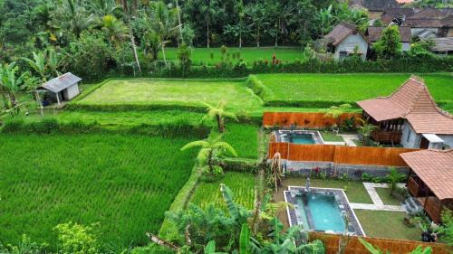 Sebatu Villa | Umah Jati Villa