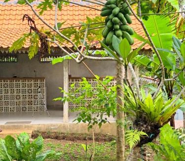 Banyuwangi Hotel | Purwa Ijen