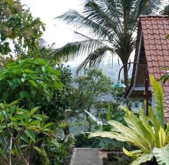 Banyuwangi Hotel | Purwa Ijen