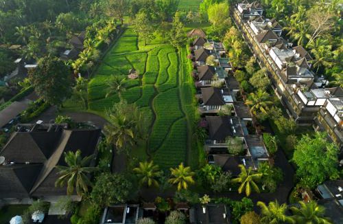 Ubud Villa | Visesa Ubud Villa