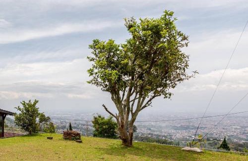 Bandung Villa | Dapur Caringin Tilu Villa Joglo