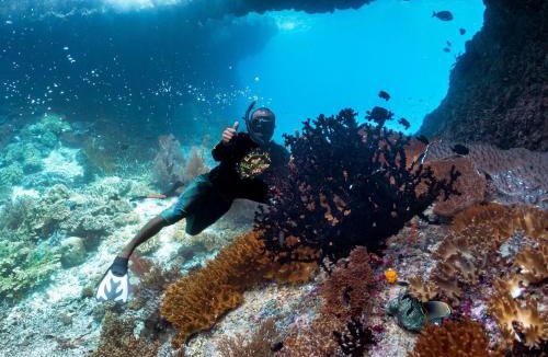 Pulau Fam House | Rosye homestay raja ampat