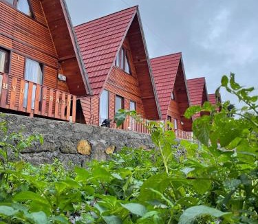 Dieng Kulon Other | Cabin Wahyu abadi near Prau mountain type segitiga