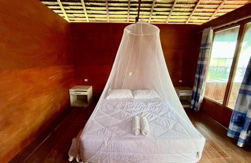 Arborek House | Angelfish Guest House Raja Ampat