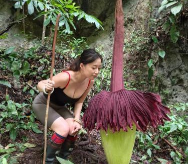 Bohorok House | Batu Katak Indah - Leuser Trekking